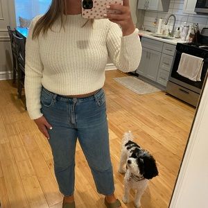 Zara cropped knit sweater